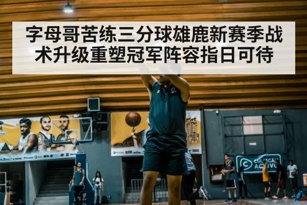 字母哥苦练三分球雄鹿新赛季战术升级重塑冠军阵容指日可待